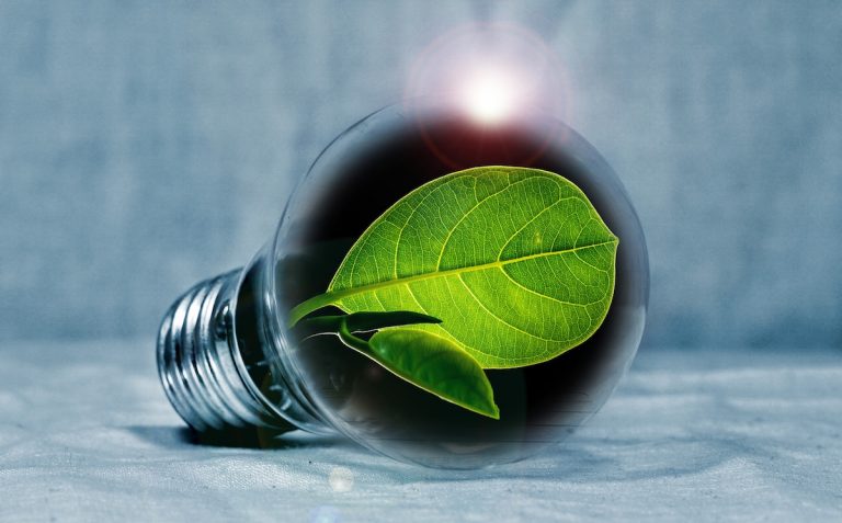 Green Energy Careers