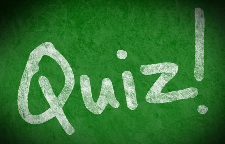Entrepreneur Quiz